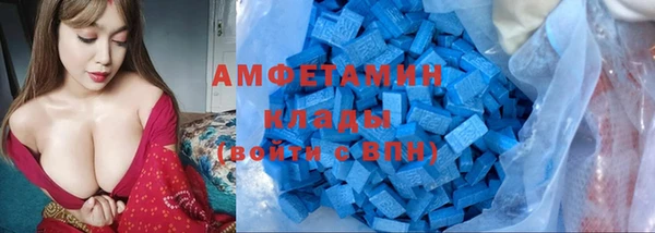 шишки Чекалин
