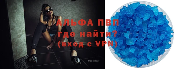 шишки Чекалин