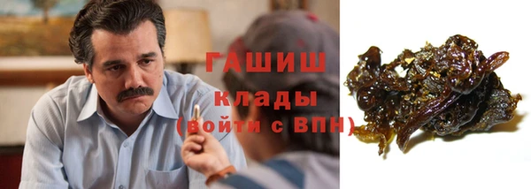 шишки Чекалин