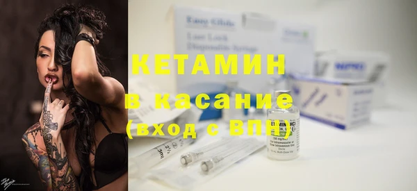 шишки Чекалин