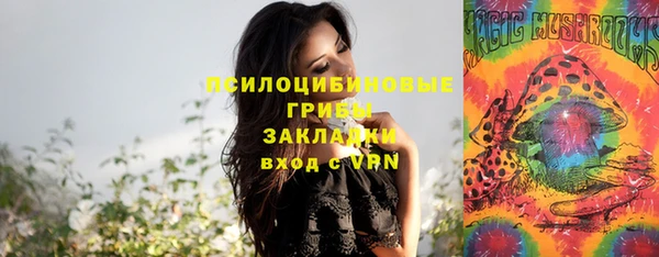 дживик Белая Калитва