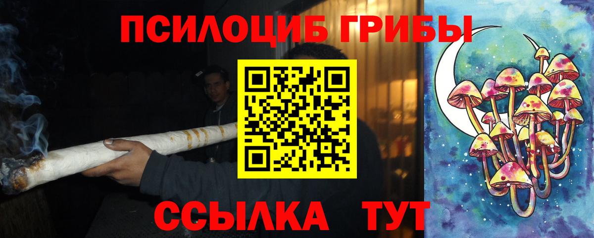 Галлюциногенные грибы мухоморы Саранск